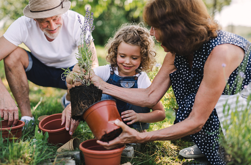 Gardening